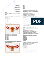 Soal k13 