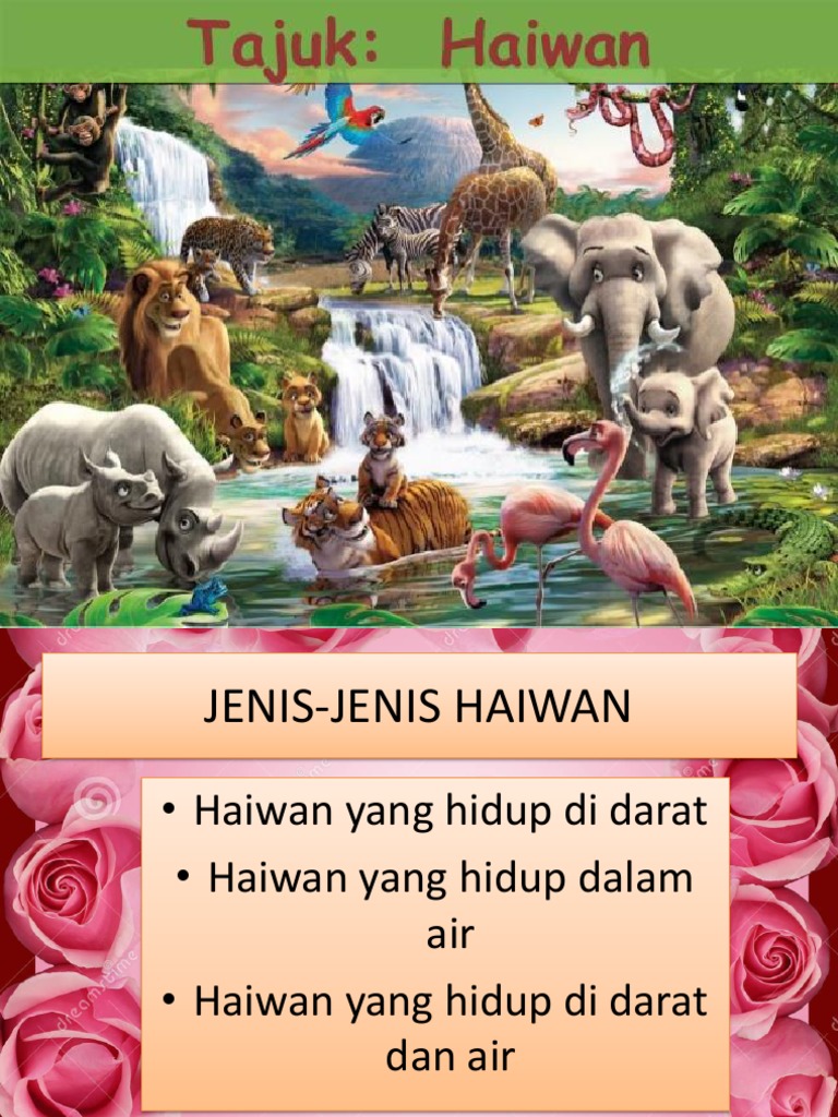 840 Gambar Hewan Yang Hidup Di Air Dan Di Darat HD Terbaru