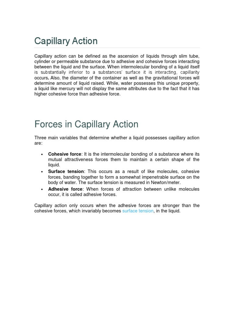 Understanding Capillary Action Mechanics | PDF