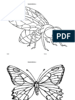 Insecte-2.docx