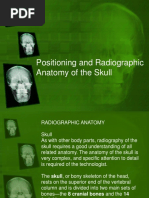PA Axial Caldwell Method Overview | PDF | Skull | Radiography