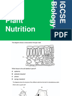 IGCSE Practice Questions - Plant Nutrition