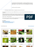 AnimalLifeCyclesEd2 PDF