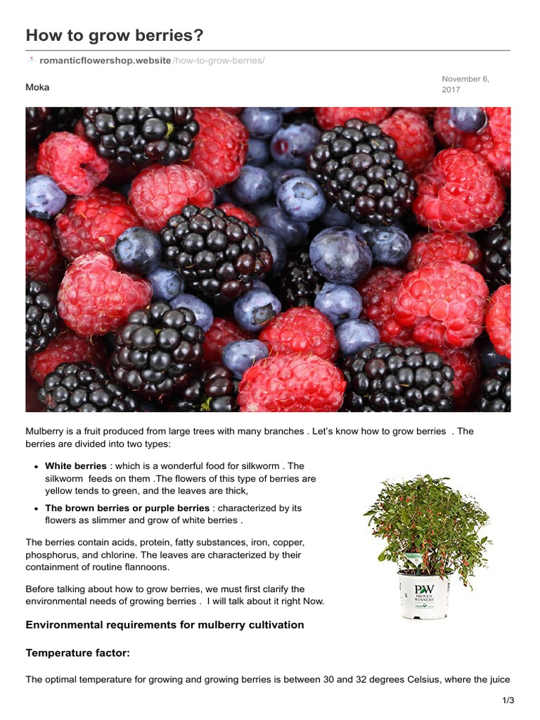 Romanticflowershop - Website-How To Grow Berries | PDF | Berry | Trees