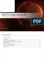 BGP-in-Large-Networks.pdf