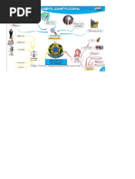 DocGo.org-Mapa Mental Direito Constitucional