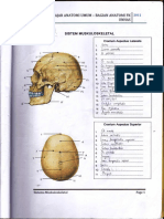 Modul Praktiikum