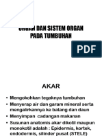 Organ Dan Sistem Organ Pada Tumbuhan