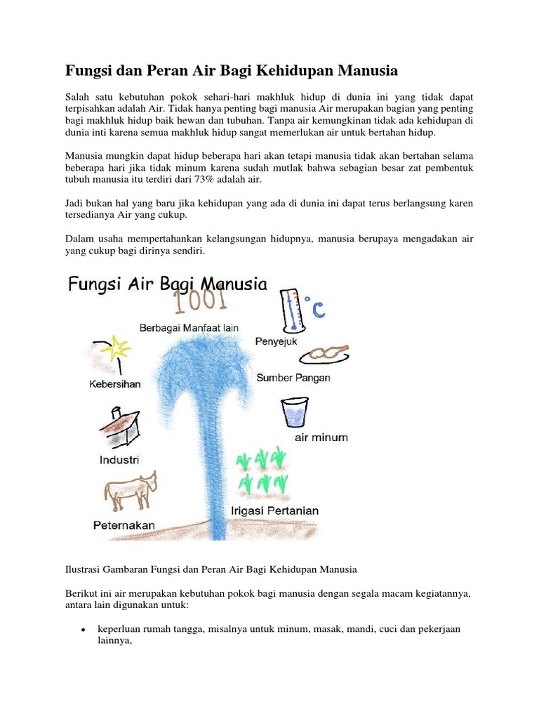 Fungsi Dan Peran Air Bagi Kehidupan Manusia