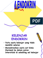 Slide Anfisman Endokrin