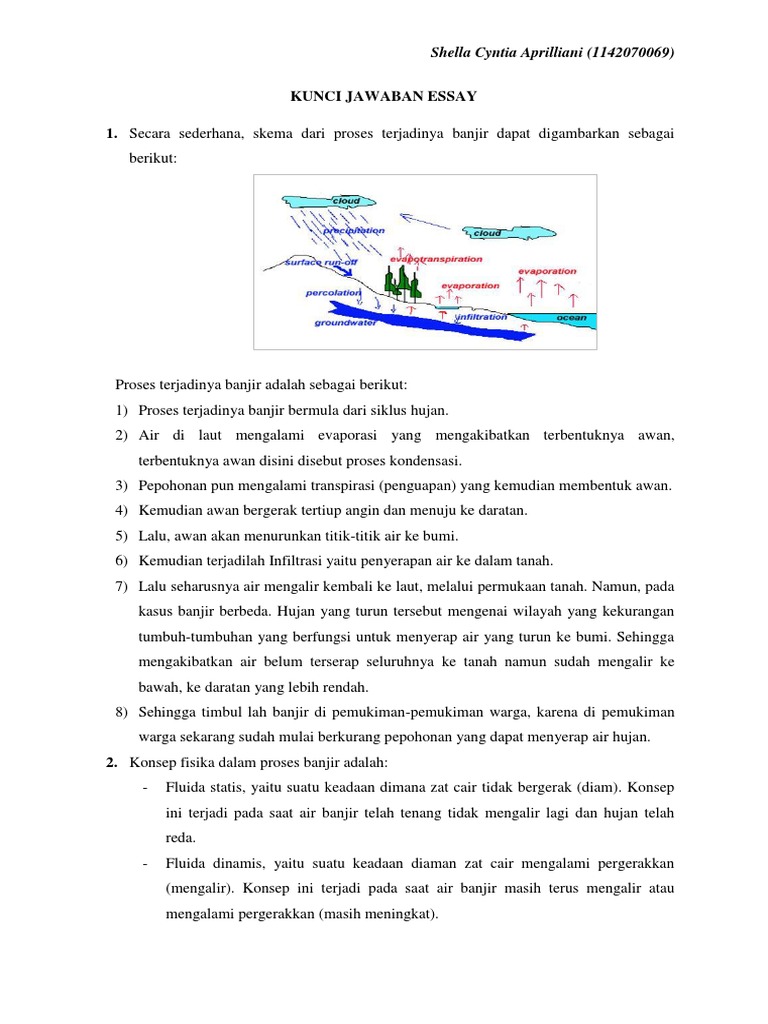 Contoh Soal Essay Tentang Mitigasi Bencana Alam Download File Guru