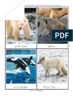Arctic Animals Flashcards 1 PDF