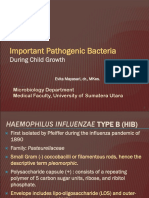 K10 - Important Pathogenic Bacteria During Child (Mikrobiologi)