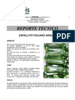 Zapallito Italiano Arauco: Reporte técnico sobre híbrido de zapallo italiano para mercado fresco