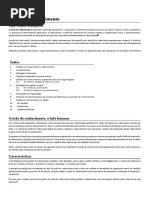 Gestão Do Conhecimento