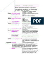 Pituitary: Posterior Posterior