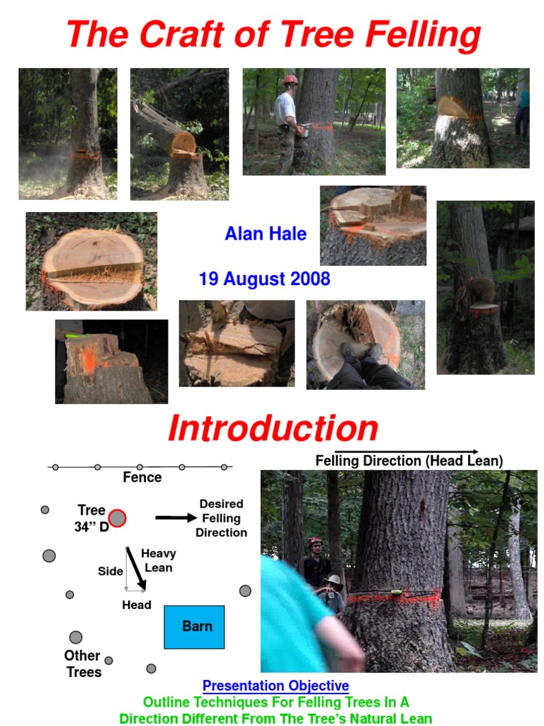 Tree_Felling_Presentation.pdf Trees Wood