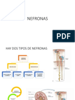 NEFRONAS