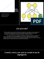 Segunda Ley de Mendel