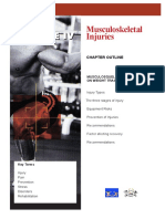 Theme_IV_Musculoskeletal_Injuries.pdf