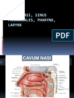 Cavum Nasi, Sinus Paranasales, Pharynx