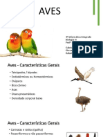 Características e sistemas das aves