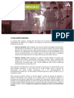 04c Musica PDF