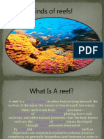 Kinds of Reefs!