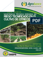 013-f-citricos.pdf