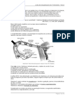 Lista de Reproducao