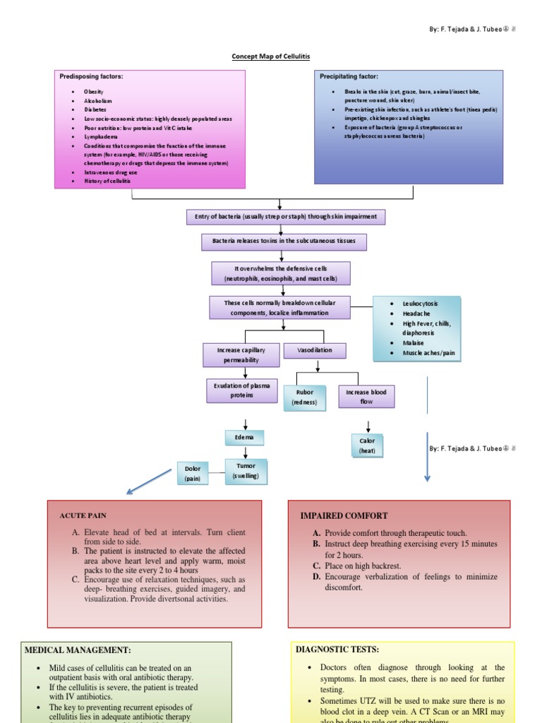 Concept Map of Cellulitis PDF Edema Rtt