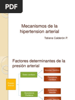 Mecanismosdelahipertensionarterial 140806001121 Phpapp01