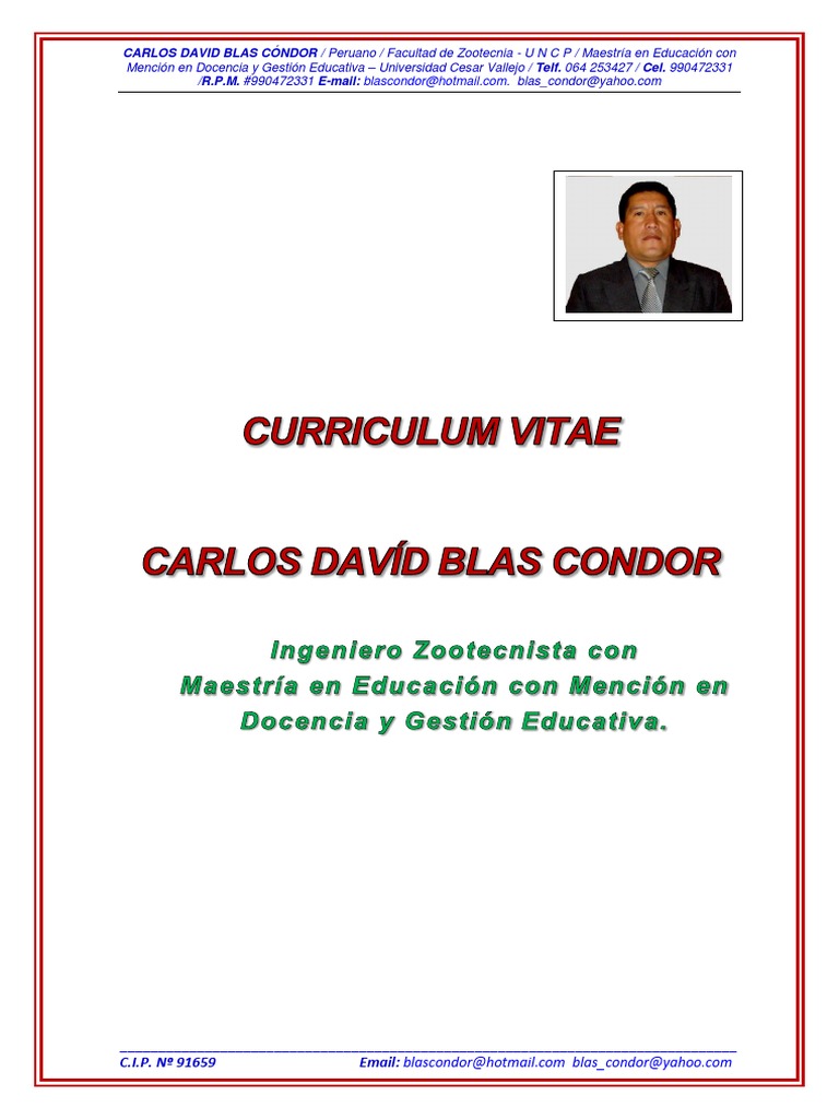 Curriculum vitae caratula picture