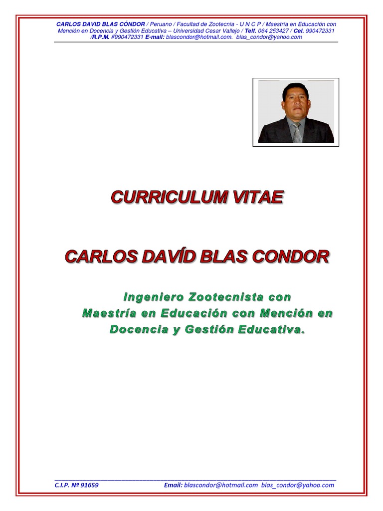 Caratula Curriculum Vitae 040 2017 | PDF | Plan de estudios | Educación  avanzada
