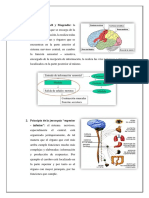 PSICOFISIOLOGIA