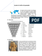 Guía para El Cultivo de Guayaba