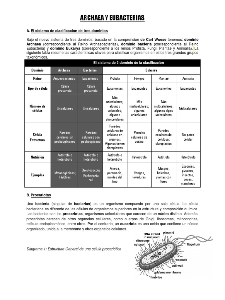 Comparativa entre Archaea y Eubacterias | PDF | Archaea | Las bacterias