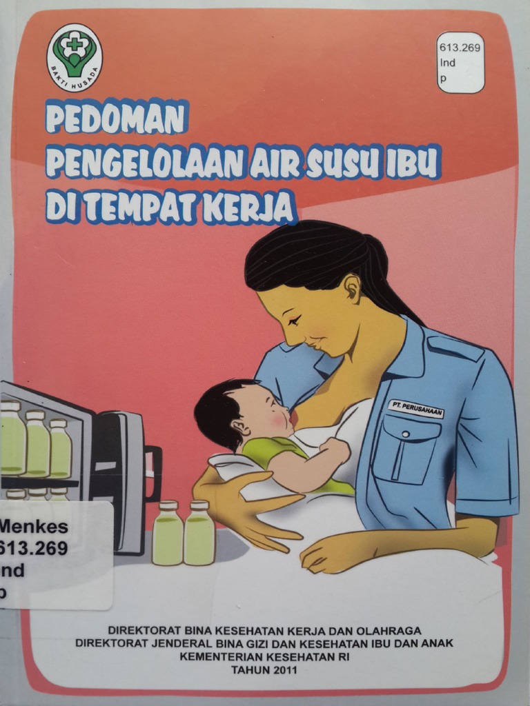 Air Susu Ibu: Panduan Lengkap untuk Ibu dan Bayi