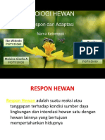 Respon Dan Adaptasi Hewan Revisi