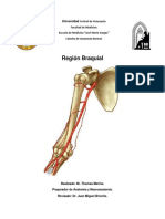 Region Braquial.pdf