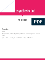 Photosynthesis Lab