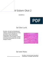 LKM Sistem Otot 2