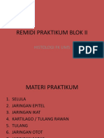 Remidi Praktikum Blok II