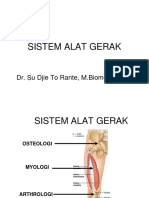 Osteologi