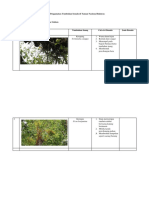 Tabel Pengamatan Tumbuhan Benalu Di Taman Nasional Baluran