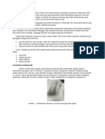 Evaluasi Radiografi