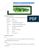 Klasifikasi Dan Struktur Anatomi Fisiologis Tanaman Sawi Tugas