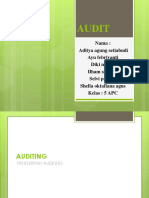 AUDIT Bu Rini