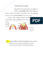 Development of Palatedevelopment of Palate