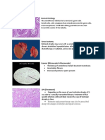 Atrophy, Testis Normal Histology